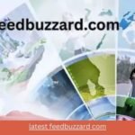 Latest Feedbuzzard com: Your Trusted Platform for News, Lifestyle, and Beyond