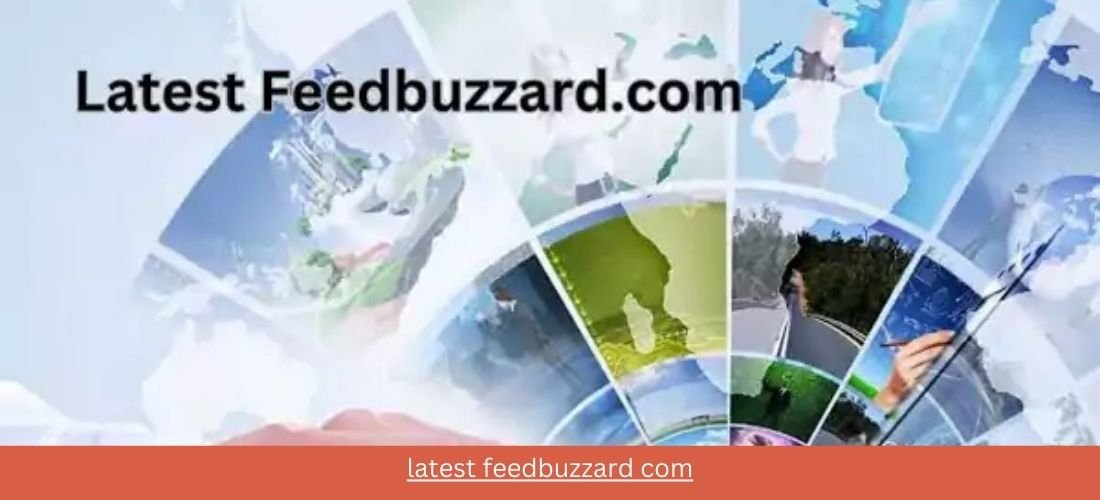 latest feedbuzzard com